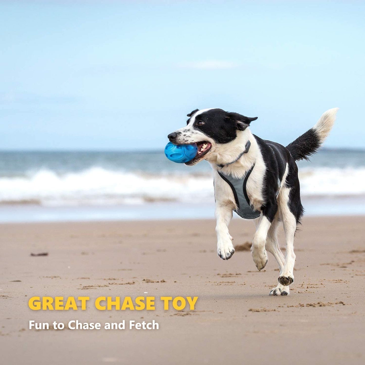 Football Wear-Resistant Rubber Sounding Dog Toy