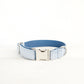 Blue Dog Collar