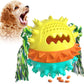 Vocal Molar Ball Dog Toy