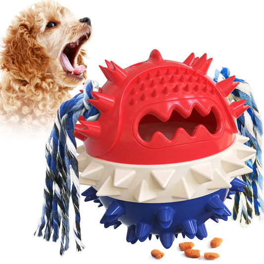 Vocal Molar Ball Dog Toy