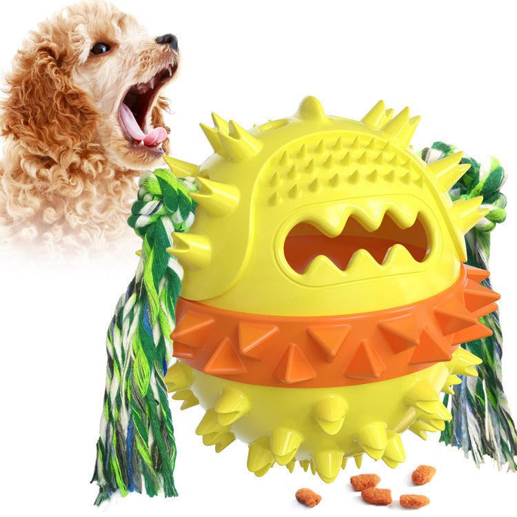 Vocal Molar Ball Dog Toy