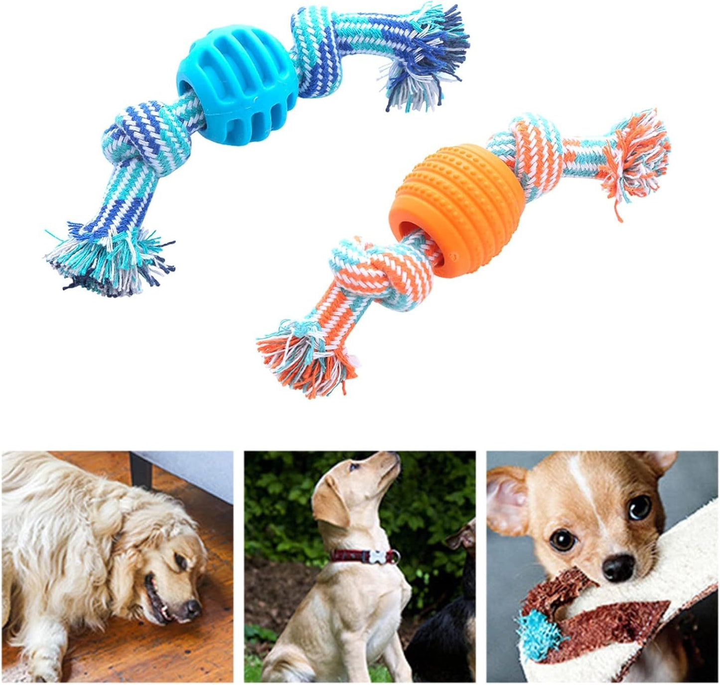 Molar Chew Dog Rope with Durability and Protects Oral Health