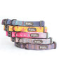 Traction Dog Collar