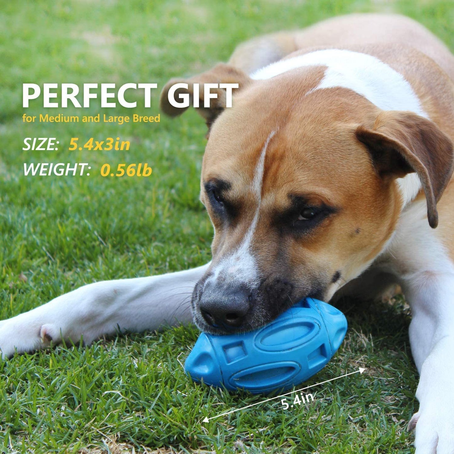 Football Wear-Resistant Rubber Sounding Dog Toy