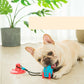 Bite-Resistant Rocket Dog Toy