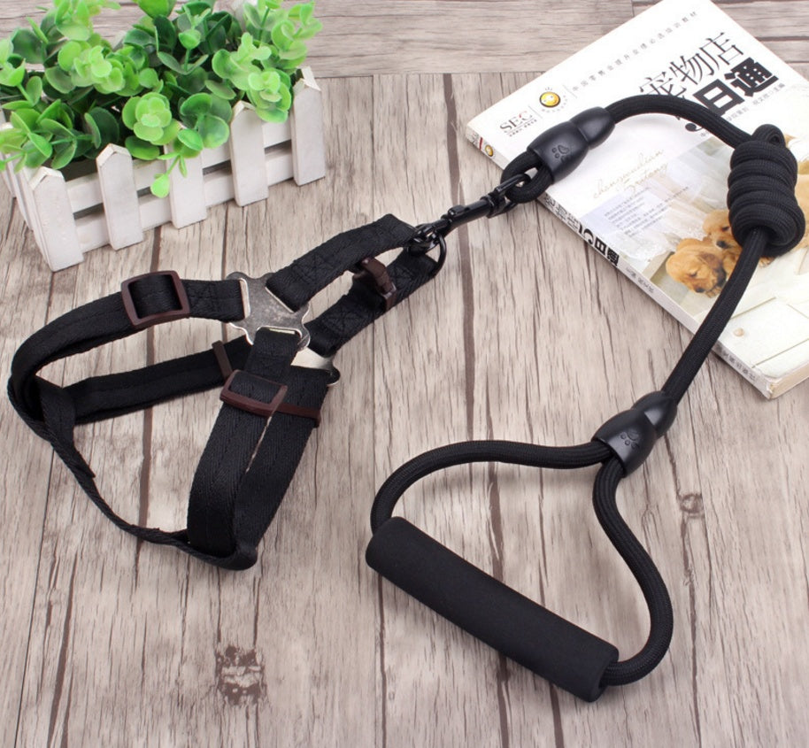 Dog Leash with Harness and Collar