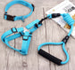 Dog Leash with Harness and Collar