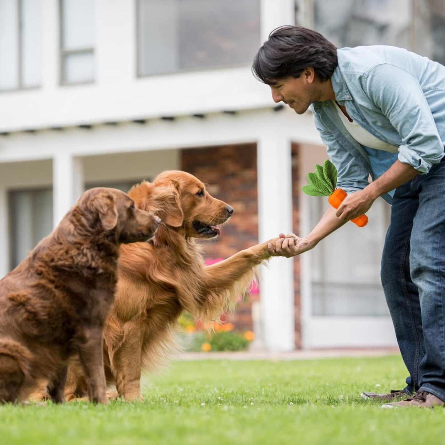 Dog Squeaky Chew Toys For Aggressive Chewers Rubber Carrot Dog Toys For Training And Cleaning Interactive Tough Dog Toy For Medium Dogs