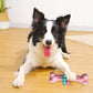 Dog Bone Type Bite Resistant Teething Chew Toy