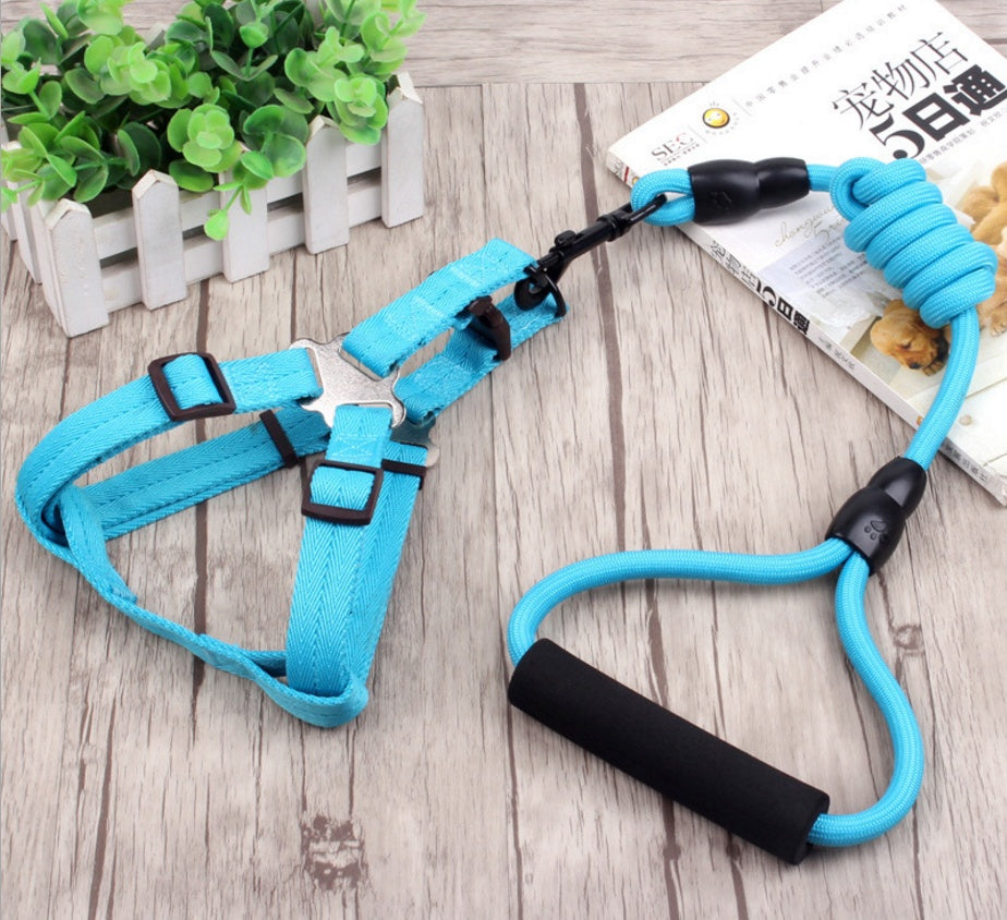 Dog Leash with Harness and Collar