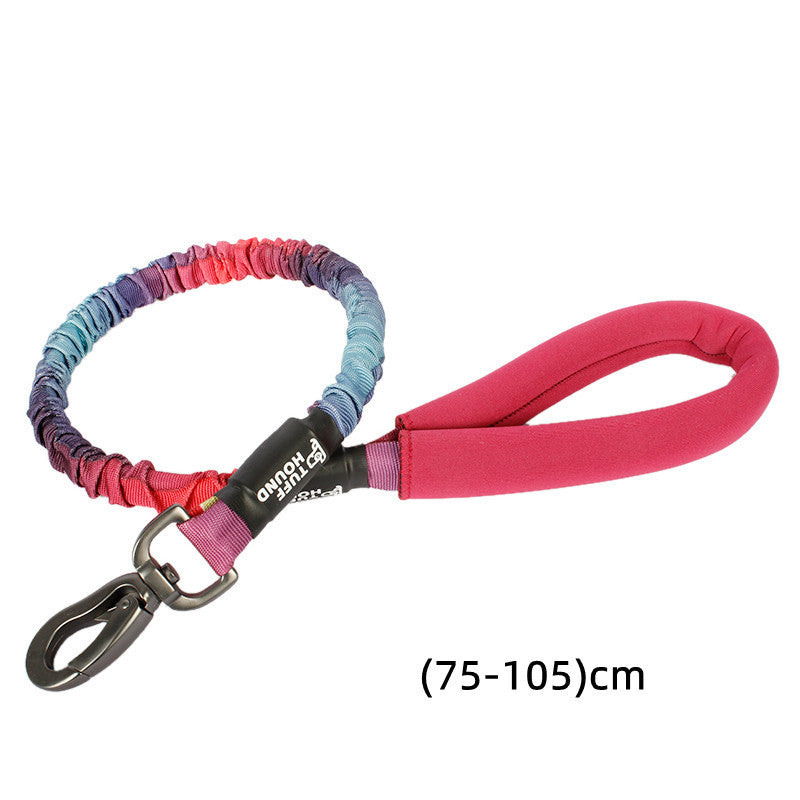 Traction Dog Collar