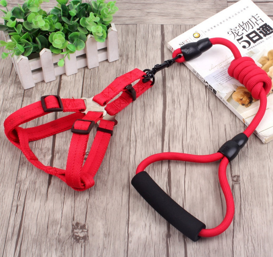 Dog Leash with Harness and Collar