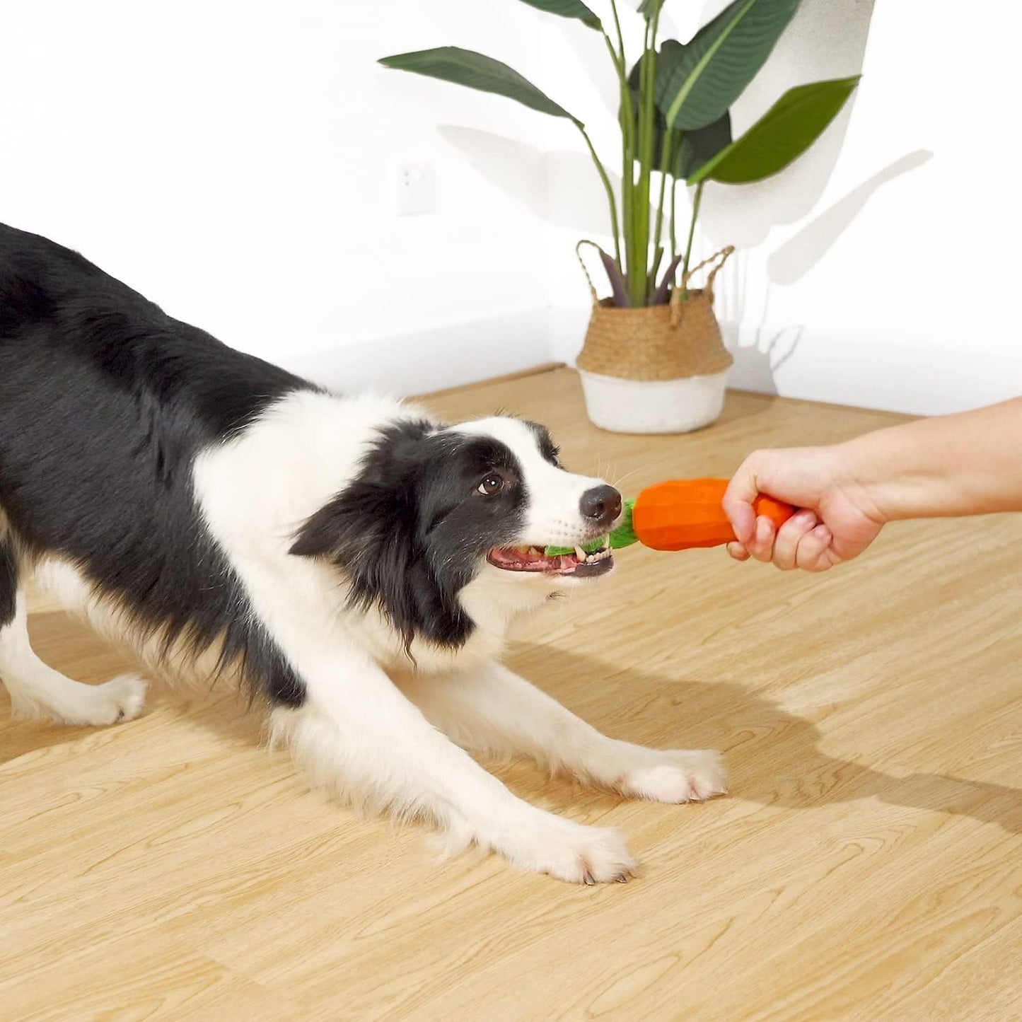 Dog Squeaky Chew Toys For Aggressive Chewers Rubber Carrot Dog Toys For Training And Cleaning Interactive Tough Dog Toy For Medium Dogs