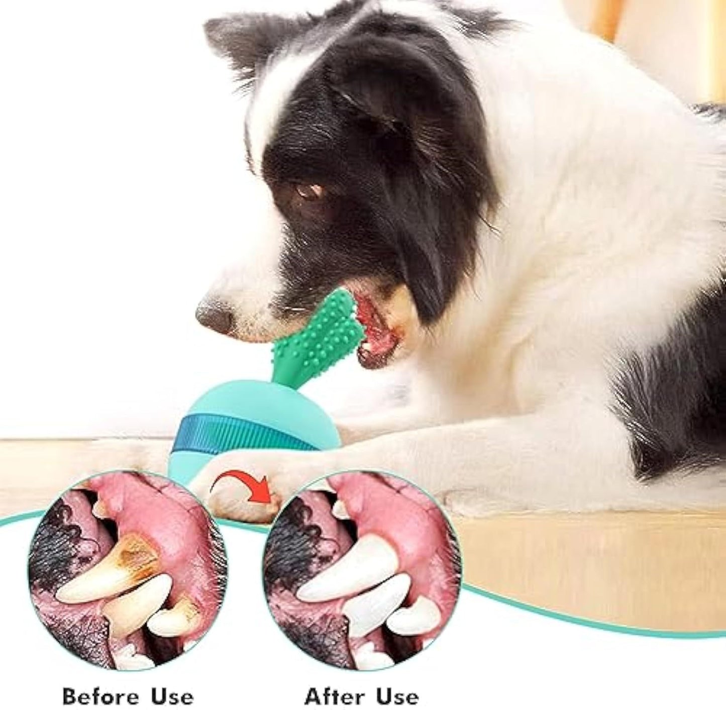 Treat Dispensing Dog Toy