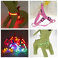 LED Light-emitting Pet Chest Harness Leash For Medium And Large Dogs