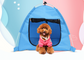Foldable anti-mosquito kennel for pet dogs