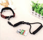 Dog Leash with Harness and Collar