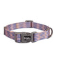 Traction Dog Collar