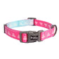 Traction Dog Collar