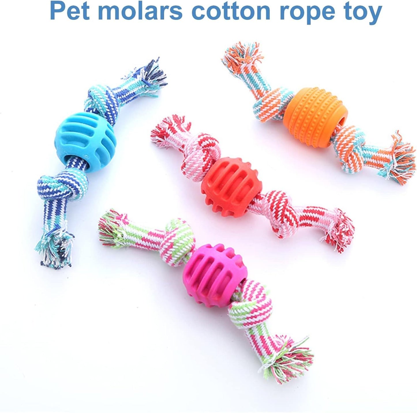 Molar Chew Dog Rope with Durability and Protects Oral Health