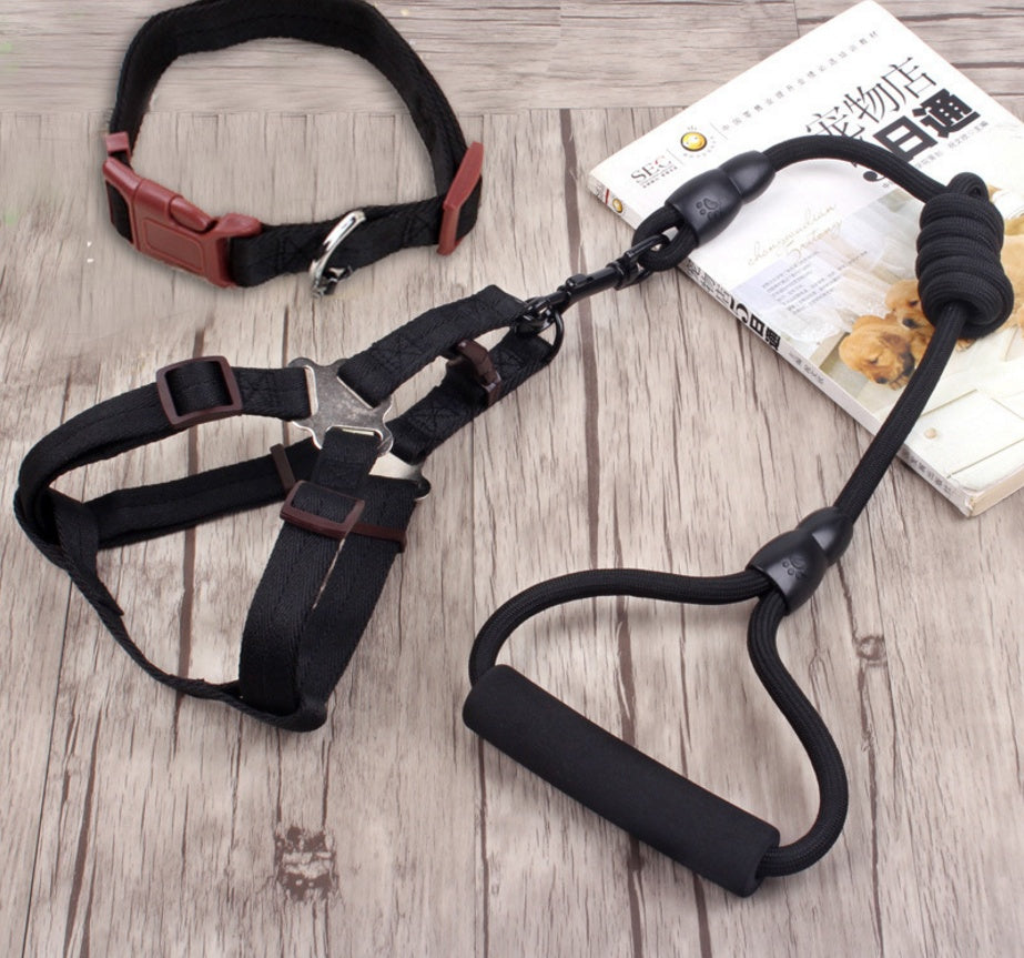 Dog Leash with Harness and Collar