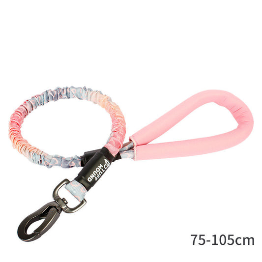 Traction Dog Collar