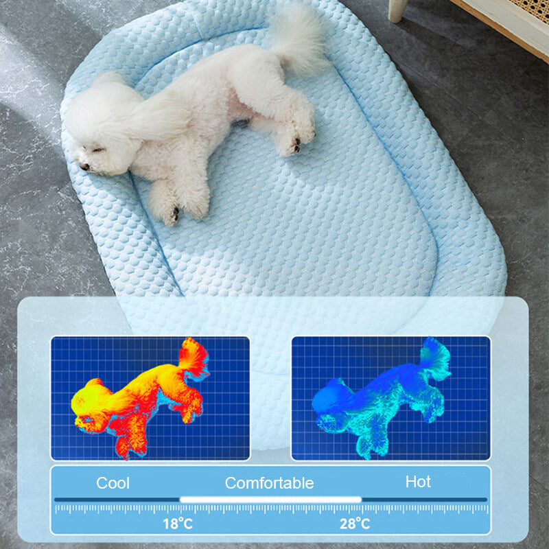 Cooling Dog Bed