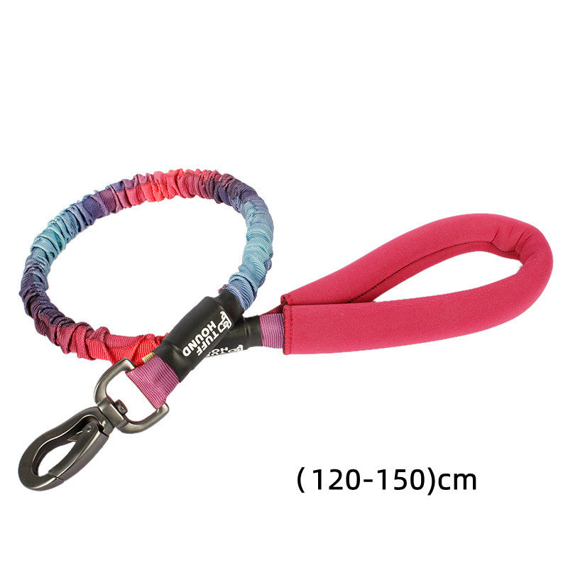 Traction Dog Collar