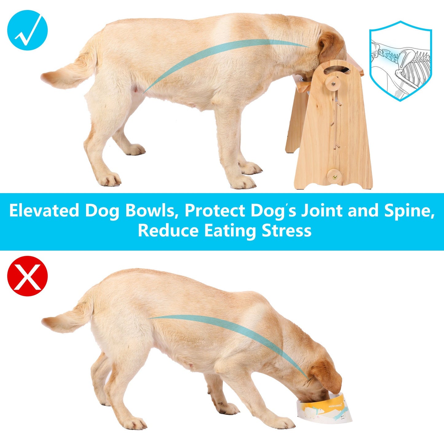 Elevated Dog Bowls for Medium, Large, sized Dogs, Adjustable Heights