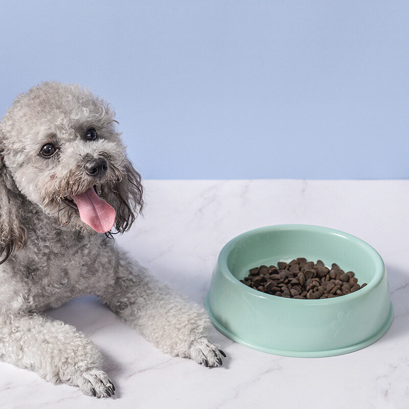 Durable Pet Feeding Bowl